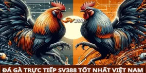 Đá gà 32WIN - Thiên đường cá cược chọi kê đẳng cấp nhất 2024